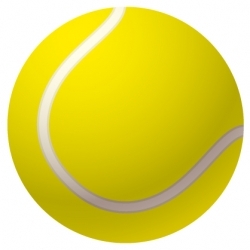 Jeux de Tennis